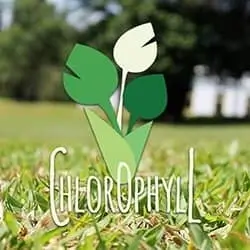 logo web design chlorophyll