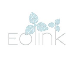 web logo design Eolink