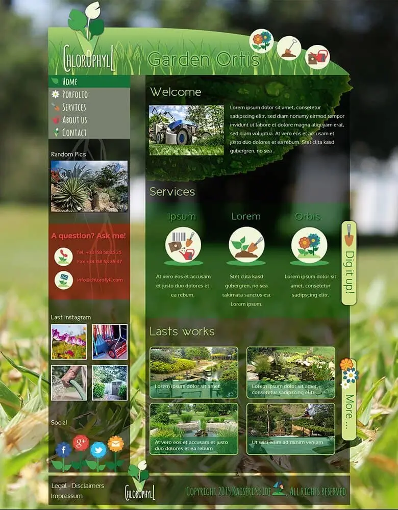 web design chlorophyll